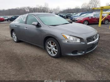  Salvage Nissan Maxima