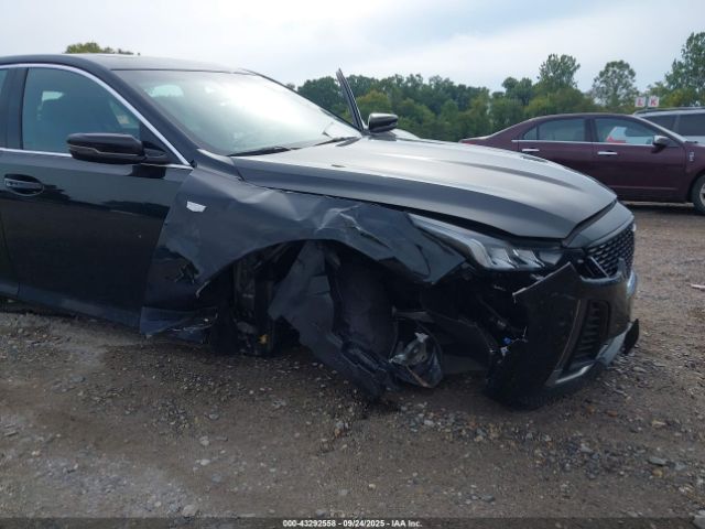 Cadillac CT5 Luxury Image 7