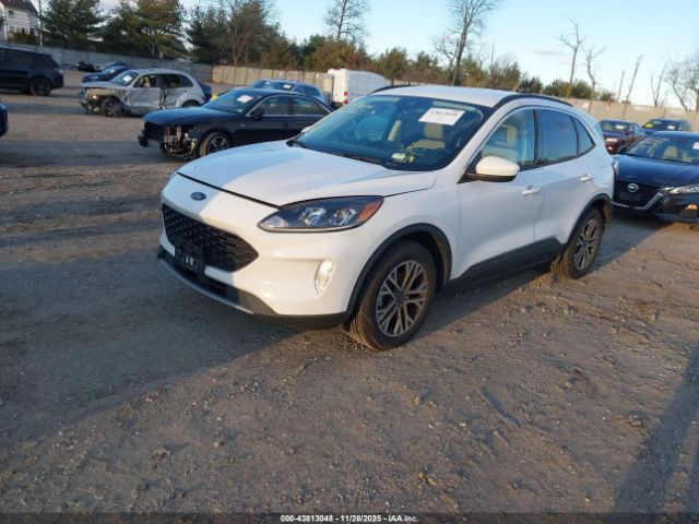 Ford Escape Sel Image 9