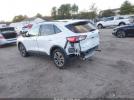Ford Escape Sel Image 14