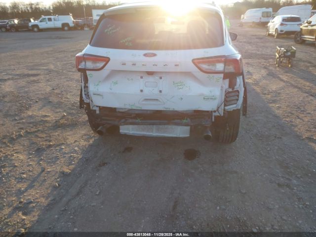 Ford Escape Sel Image 7