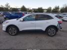 Ford Escape Sel Image 15