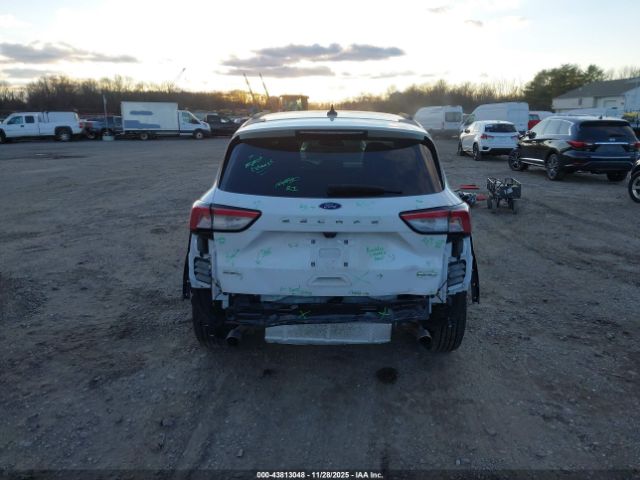 Ford Escape Sel Image 5