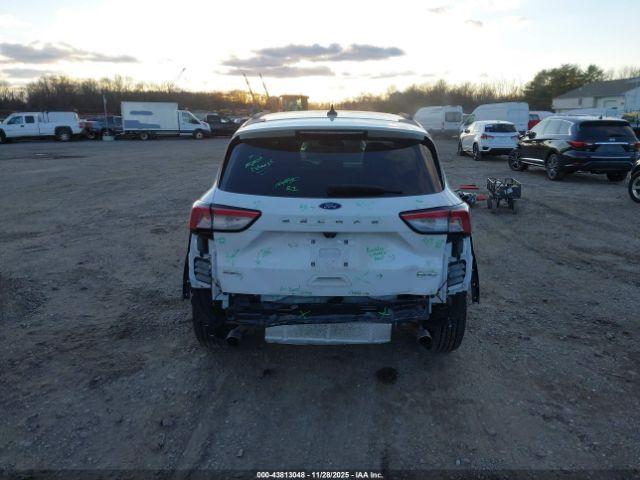 Ford Escape Sel Image 5