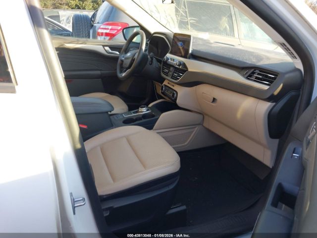 Ford Escape Sel Image 8