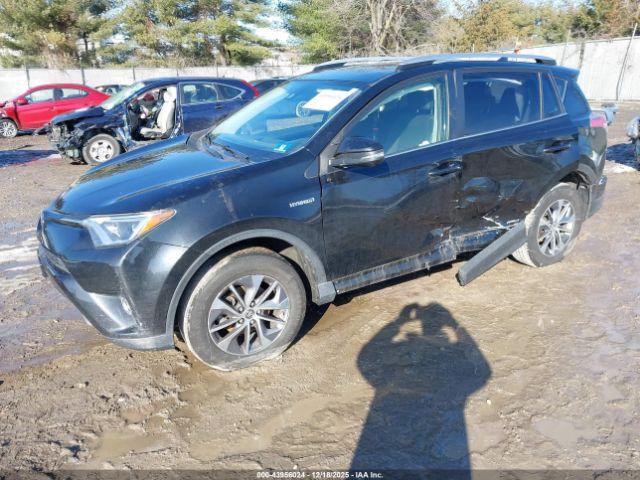 Toyota RAV4 Xle Image 16